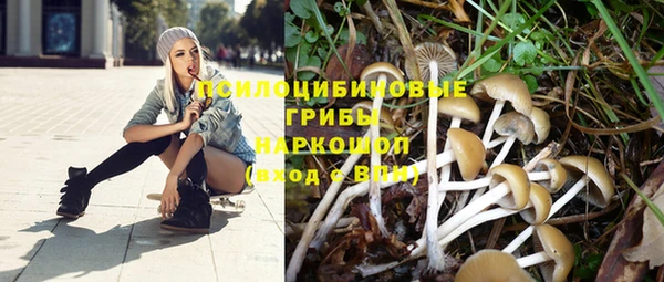 винт Красноперекопск