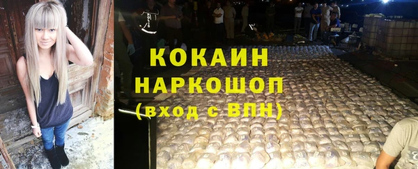 крисы Краснослободск