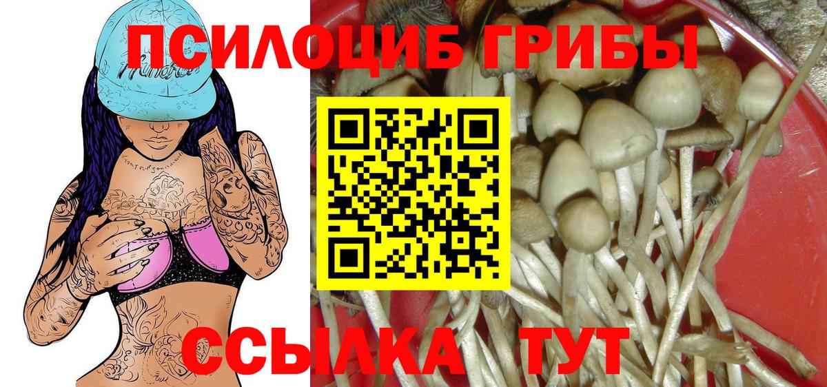 Псилоцибиновые грибы Psilocybe  Вход с VPN  что такое наркотик  Рославль 