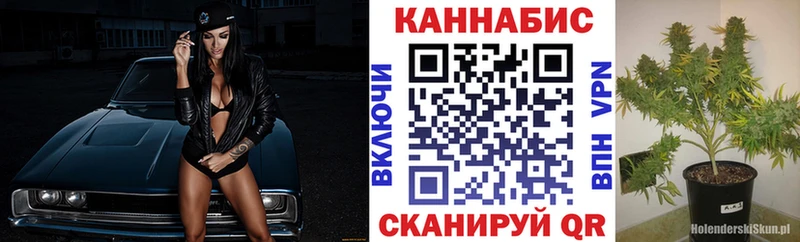 hydra   Рославль  Каннабис Bruce Banner 